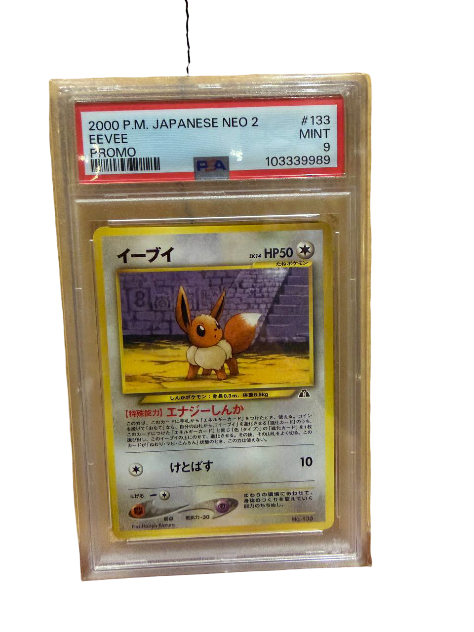 2000 Eevee Japanese Neo 2 Promo PSA 9